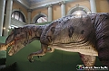 VBS_0961 - Dinosauri. Terra dei giganti